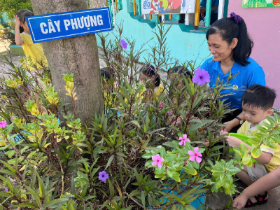 Chăm sóc cây xanh và bảo vệ môi trường