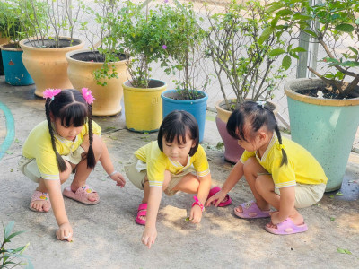 HOẠT ĐỘNG NGOÀI TRỜI “NHẶT LÁ VÀNG”
