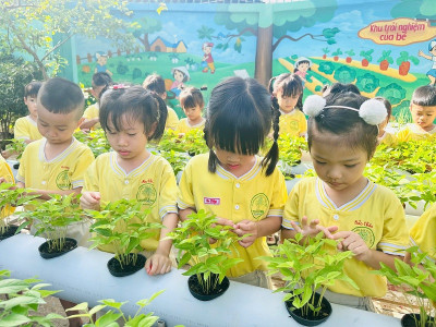 Hôm nay các bạn nhỏ lớp Chồi 1 được ra khu vườn trải nghiệm quan sát cây đậu đen